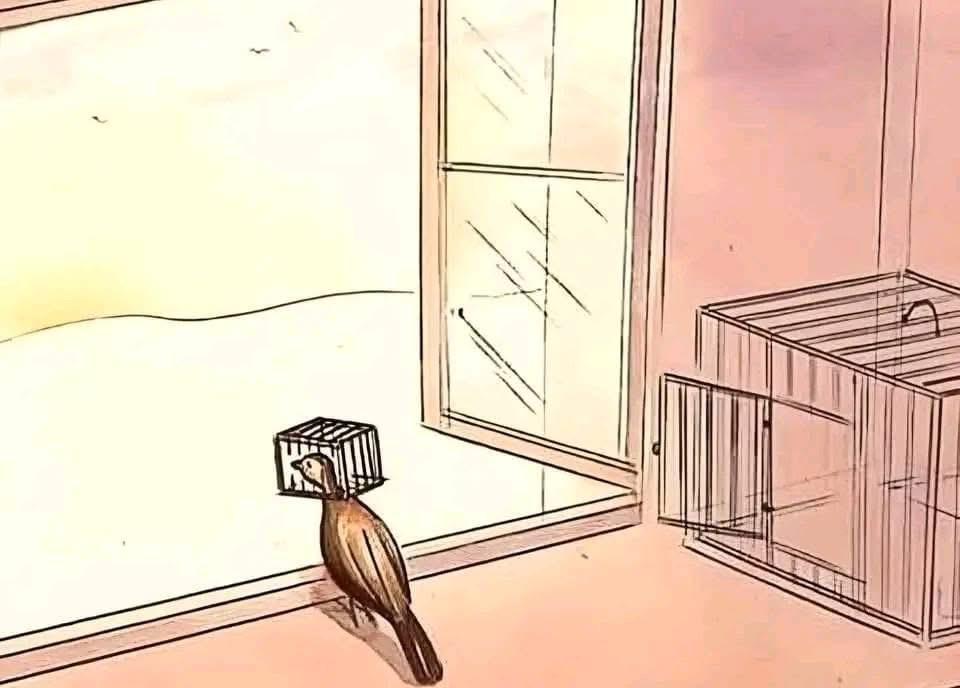 bird with cage on head