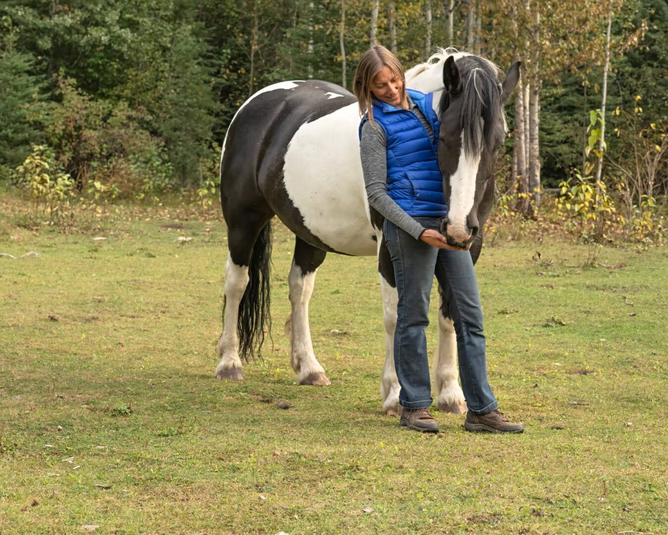 Equine Assisted Learning