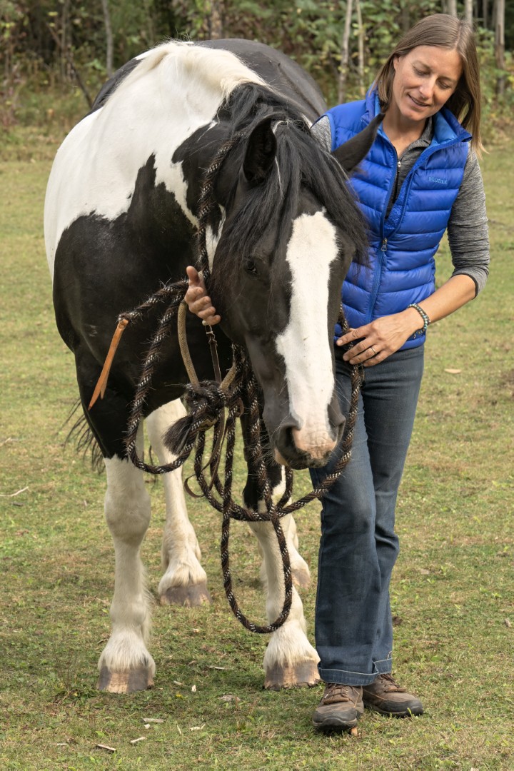 Equine Assisted Learning